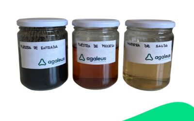 El Tratamiento de Residuos: Clave para la Protección del Medio Ambiente